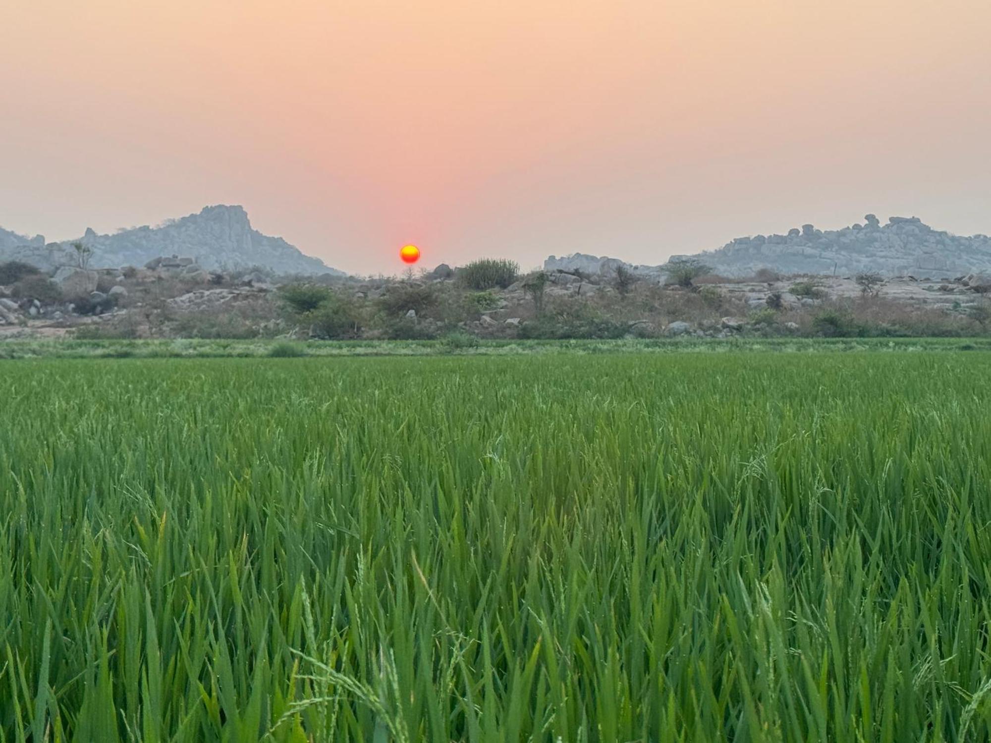 Hill Stone View Hampi Hotell Eksteriør bilde